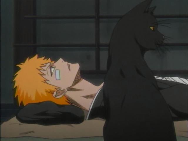 Otaku Gallery  / Anime e Manga / Bleach / Screen Shots / Episodi / 041 - Riuniti Ichigo e Rukia / 029.jpg